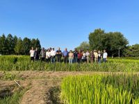 Excursion on Organic rice breeding farm 9-9-23 in Suzhou china